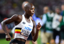 Geen Nafi Thiam, wel 13 wereldkampioenen en 21 Belgen op Memorial Van Damme