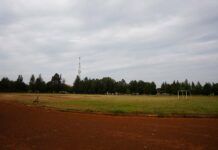 Gezant van AIU in Kenia getuigt: “Dopinggebruik wordt gebanaliseerd: als iedereen het mag doen, waarom ik dan niet?”