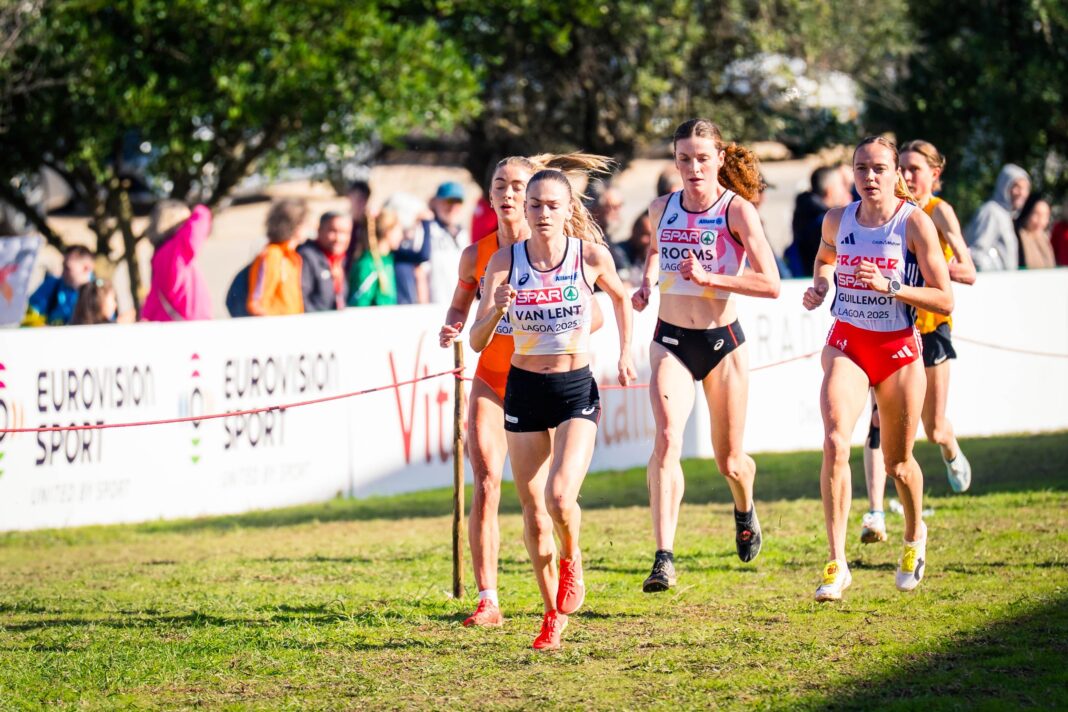 0b417512-a1ed-4bb7-be06-97f0d24c67fa