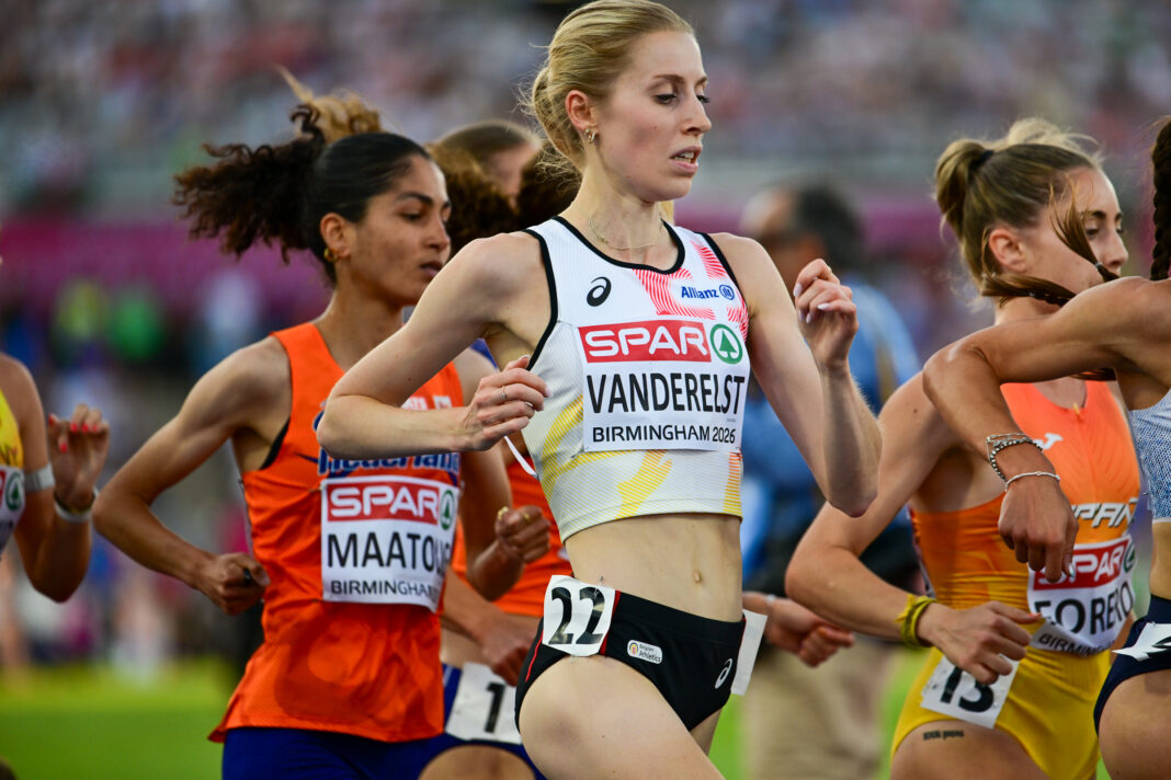 Vanderelst-2433